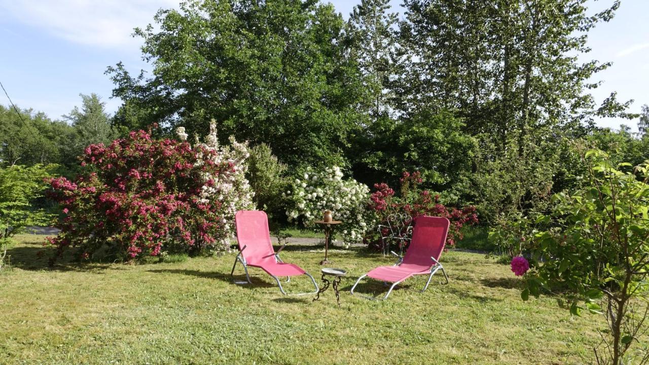 Le Jolis Bois Bed and Breakfast Raon-lʼÉtape Exteriör bild